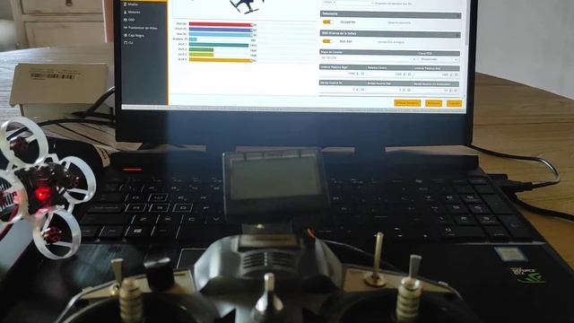 Betaflight Sticks Problem. TinyWhoop. Mobula 6