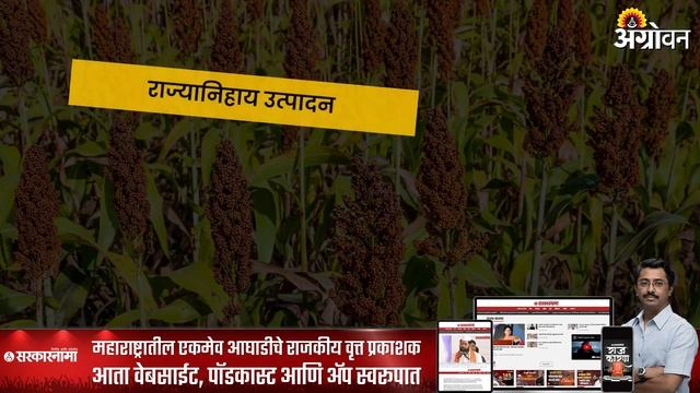 Jowar Market : महिनाभरात ज्वारी दरात मोठी तेजी का आली? | ॲग्रोवन смотреть онлайн