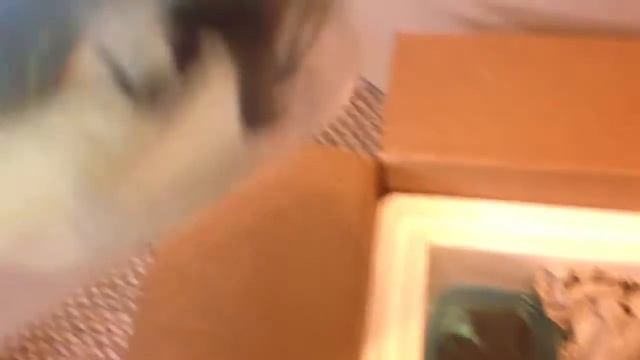 Unboxing Green Sipaliwini