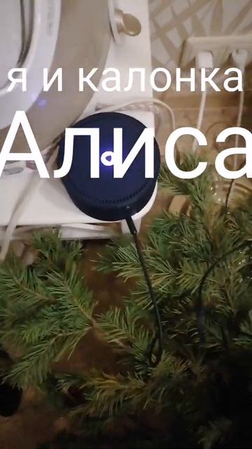 #колонкаалиса#shorts #яндексалиса#музыка #алиса#прикол