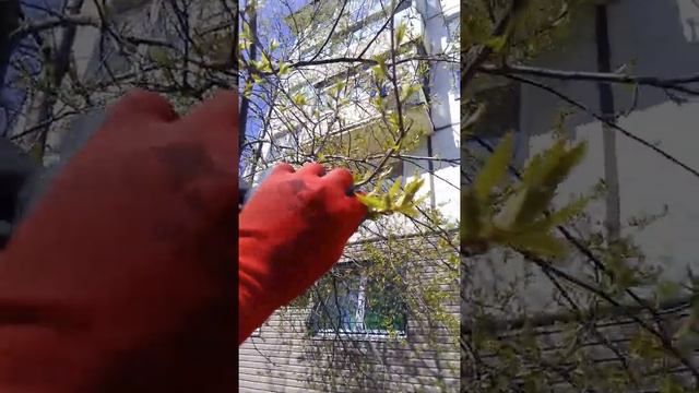 #владивосток #севастополь #отгрузка смотреть онлайн