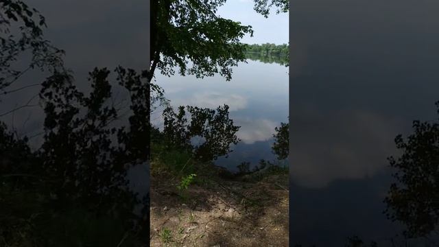 Соловей на Горном острове 15.05.19