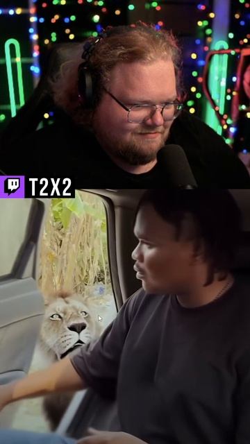 Ой... 🦁🚗 - #t2x2 #т2х2 #twitch #твич #shorts #юмор #мем смотреть онлайн