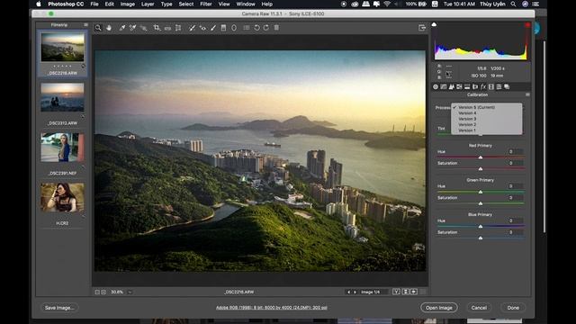 Bài 87: Camera Raw: Effects, Camera Calibration | Làm Chủ Photoshop CC 2018 смотреть онлайн