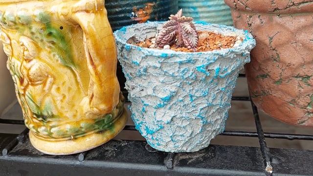 Yağmurda Mini Teras Turu, Bulduğum Saksı, Beton Efekti Saksılarım смотреть онлайн