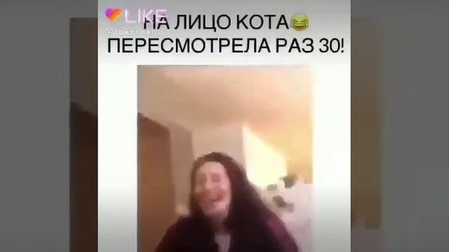 Реакция кота и женщины 😹