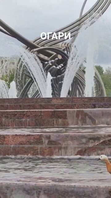 Огари в фонтане 