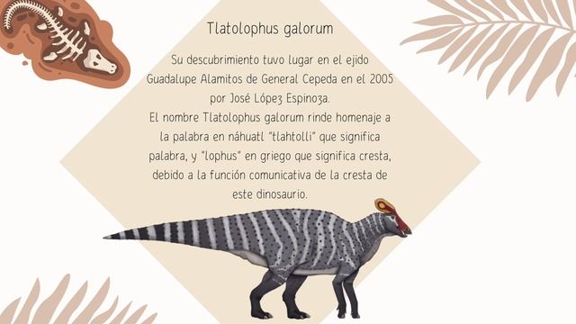 GEOLOGIA DEL NORESTE DE MÉXICO (Geología Histórica)