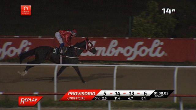 C14 EL PRINCIPITO 21 10 2020 смотреть онлайн