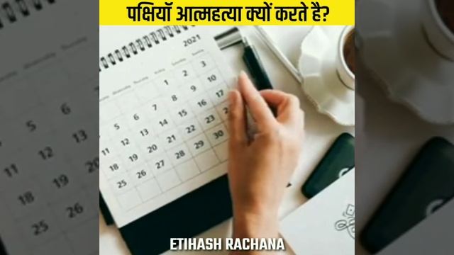 हर साल पक्षियां आत्महत्या क्यों करती है?दुनिया के 3 अनसुलझे रहस्य| #shorts смотреть онлайн