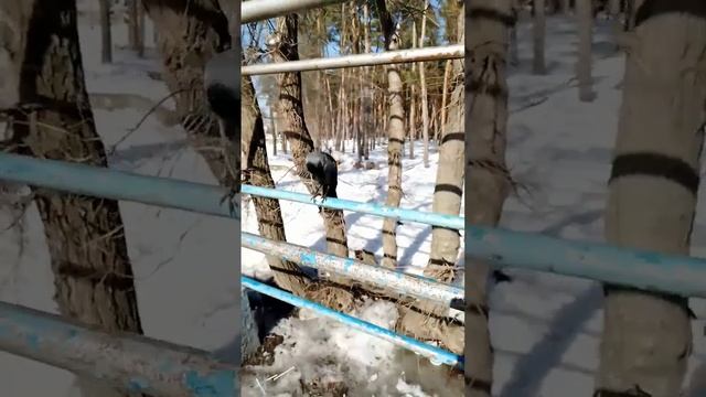 13 мая 2024 г. смотреть онлайн