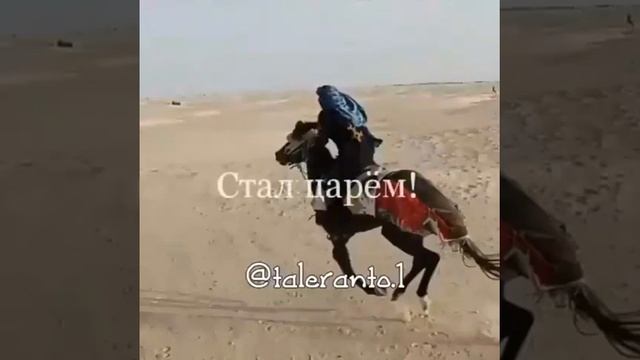 1 сентября 2023 г. смотреть онлайн