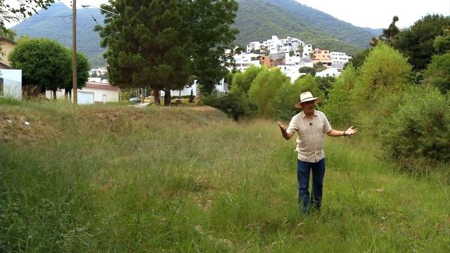 Árboles nativos - Pacalli la Casa de las Hierbas смотреть онлайн