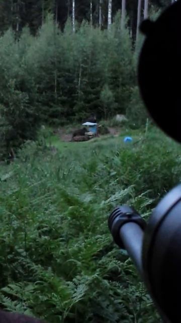 Tikka T3 . 300 win mag Hunting смотреть онлайн