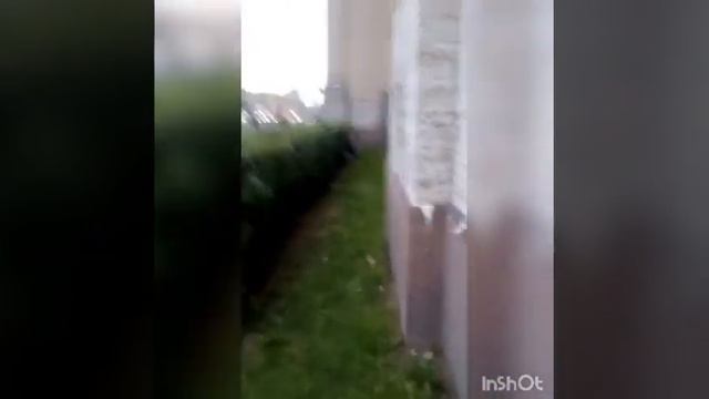 Здарово щеглы 1/8 смотреть онлайн