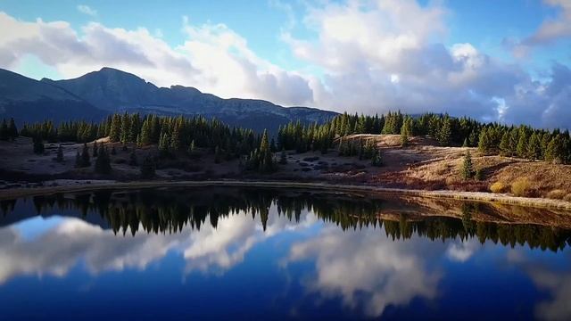 ARABIC EURO | RANDOM COMPOSITION | Music |THE FOREST OF TRANQUILITY | смотреть онлайн