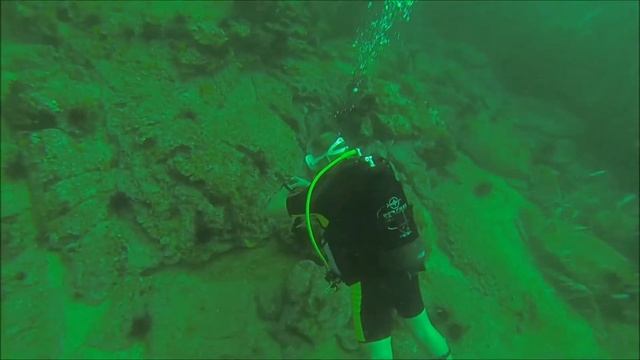 Palenquée 12072014 (club nautilus) смотреть онлайн