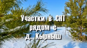 Участок в СНТ Байлык рядом с Кырныш и Кулушево в 30 минутах от г. Набережные Челны