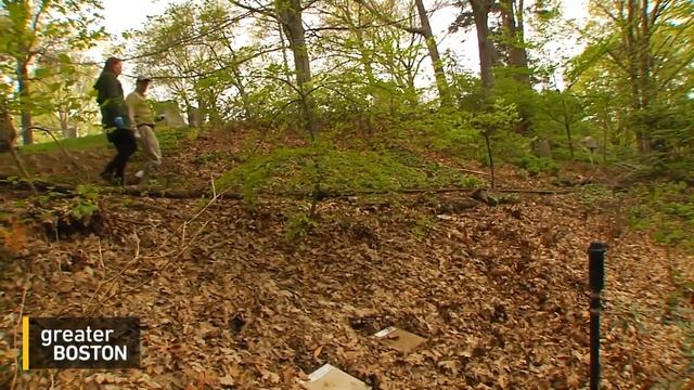 Salamander Season - Wellesley COA смотреть онлайн