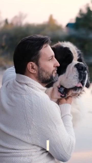 When you cross a dog and a calculator - Amazing Canine Humour смотреть онлайн