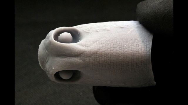 Beasts Of The Mesozoic Adasaurus Concept Reveal; Cyberzoic Dilophosaurus Sculpted; Oviraptor?!