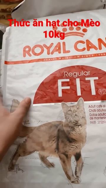 Thức ăn hạt khô cho Mèo Fit32 10kg Royal Canin смотреть онлайн