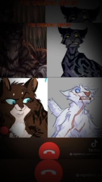 коты воители сумрачный лес реальность смотреть онлайн