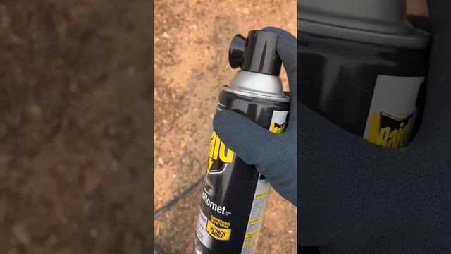 How To Use Wasp Spray! Owyhee Environmental's Review of Raid Wasp & Hornet Killer. (Boise, Idaho) смотреть онлайн