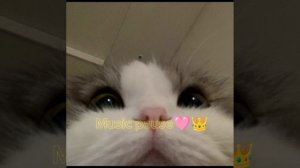 популярные песни 2024 года тик ток💓🫀