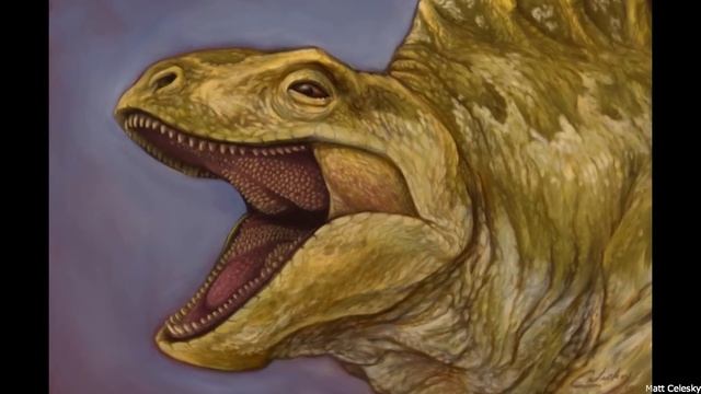 Dimetrodon And The Permian Sailbacks