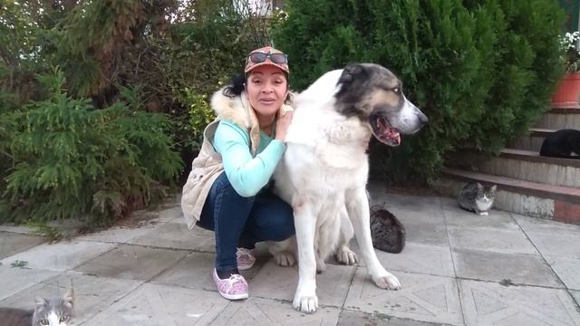 Встречаемся в пятницу в 21:00! смотреть онлайн