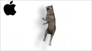 Dog Memes but famous phone ringtones