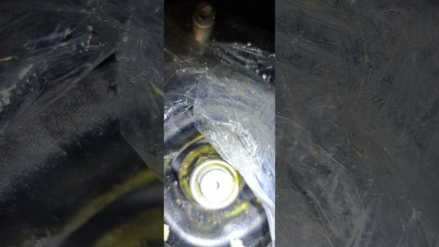 Стойки разборные с Celica от CarTune из Владивостока 1000013612.mp4