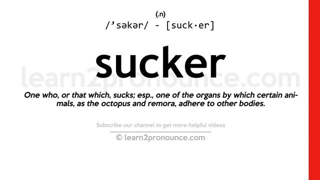 Pronunciation Of Sucker | Definition Of Sucker