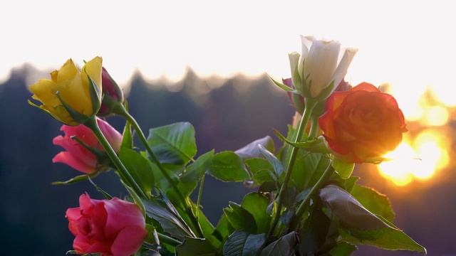 На потертых шторах смотреть онлайн