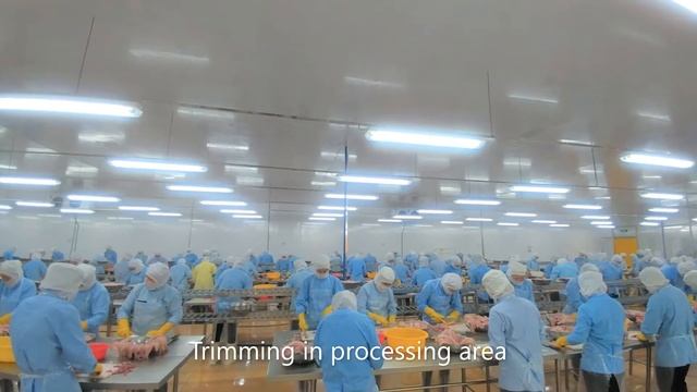 PANGASIUS HYPOPHTHALMUS PRODUCTION OF AQUATEX BENTRE ( UPDATE VERSION 2020) смотреть онлайн