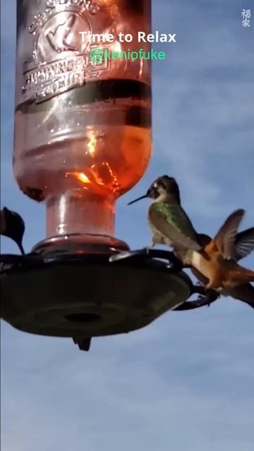 Infinita Sabedoria #relaxingmusic #focusmusic #piano #sleepmusic #meditation #musica #reiki #kenio