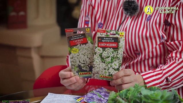 АРОМАТНЫЕ РАСТЕНИЯ В САДУ. Обзор семян душистых цветов от Наталии Петренко смотреть онлайн