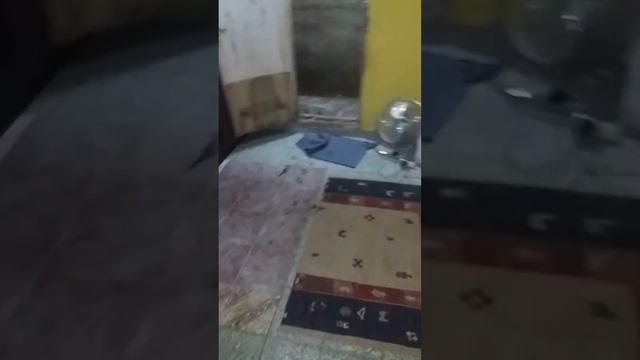 Passinho Foda: Pitanga Maquinista DP Kevão Maquinista DP #Treino