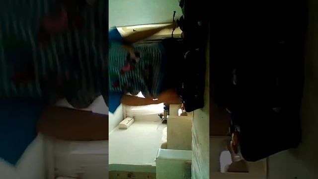 Укореняется транспорта йоркширский любого школы установить Миша смотреть онлайн