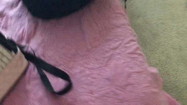 Forever 21 Haul For Summer Trip 2018/ Planning My Outfit For Busch Gardens