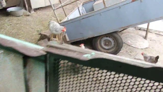 Не забуду Вас поздравить. смотреть онлайн
