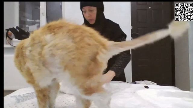 фывапролджхзщшгне смотреть онлайн