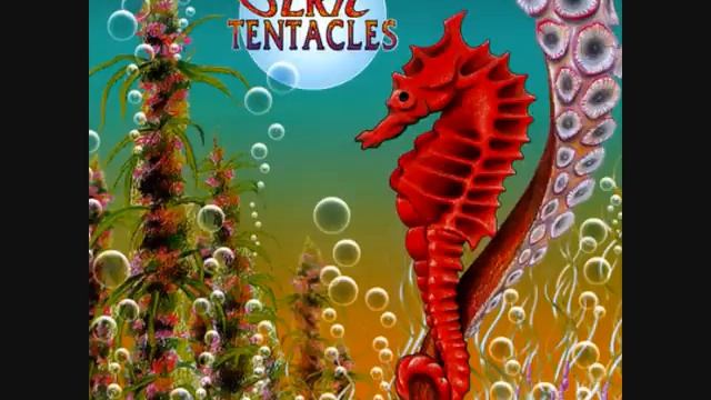Ozric Tentacles - Sniffing Dog.wmv смотреть онлайн