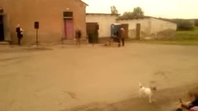 Танцы в деревне смотреть онлайн