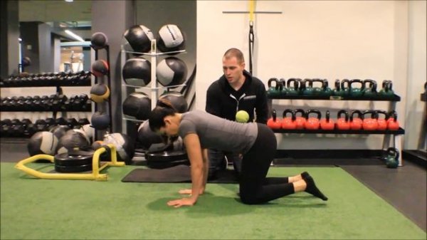 Quadruped Crawl (Quadruped/Bear Crawl Combo) - SO HARD!