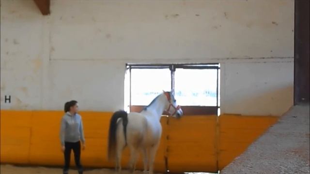 Pacha & Célia смотреть онлайн