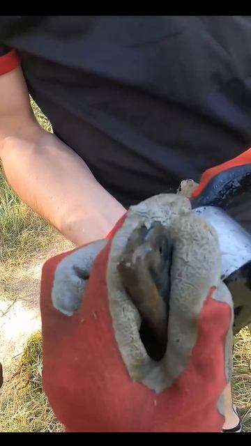 Quand la journée commence bien : Pêche à l'aimant смотреть онлайн