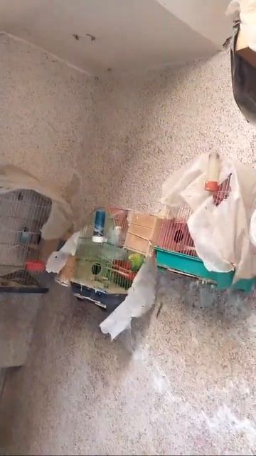 طفرة смотреть онлайн