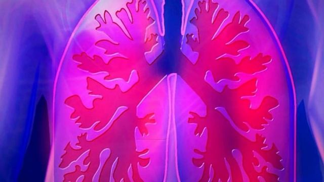 Benefits and Properties of Malva Tea смотреть онлайн